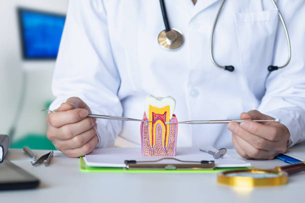 Best Pediatric Emergency Dentist in Harrisburg, IL